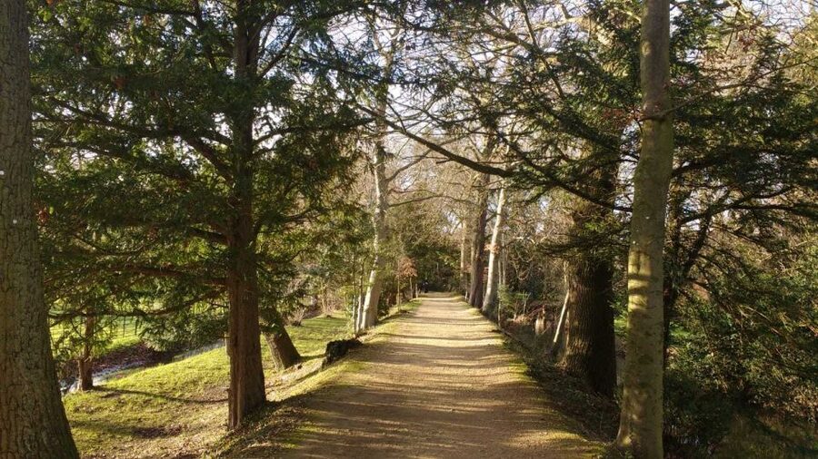 Oxford: C.S. Lewis & J.R.R. Tolkien Guided Walking Tour - Magdalen College and Addison’s Walk