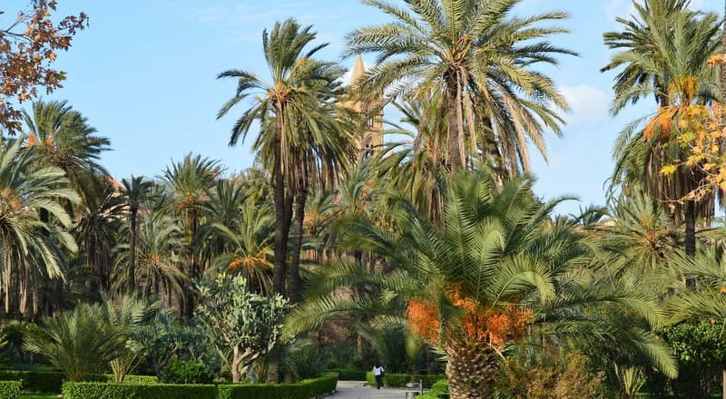 Palermo: Art and Architecture Walking Tour - Palermo in three hours, with the main story intact