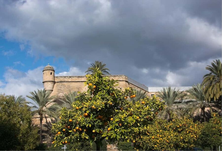 Palma de Mallorca: Walking Tour, Cathedral & Local Tasting - What the guides add to the experience