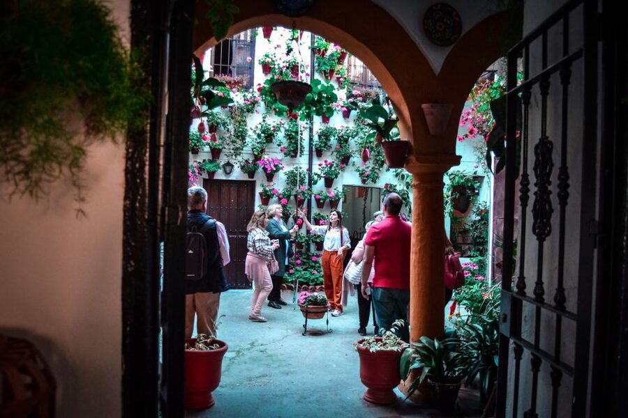 Patios of Cordoba Walking Tour - Why Cordoba’s patios are worth seeing