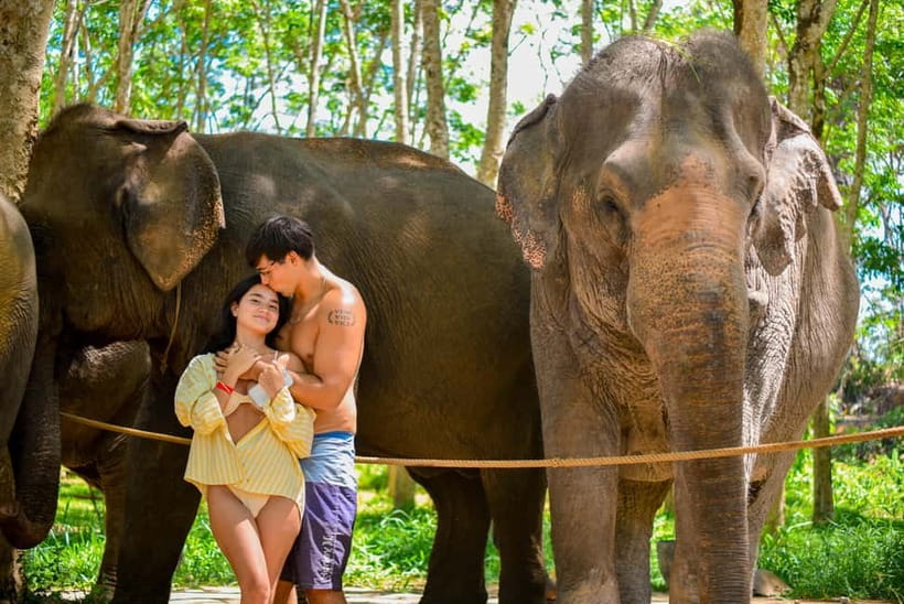 Phuket:Beach walk with elephants, rain & care. 2.5 hours - Key points to know before you book