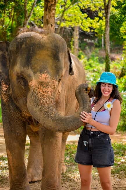 Phuket:Beach walk with elephants, rain & care. 2.5 hours - What to bring and what to expect