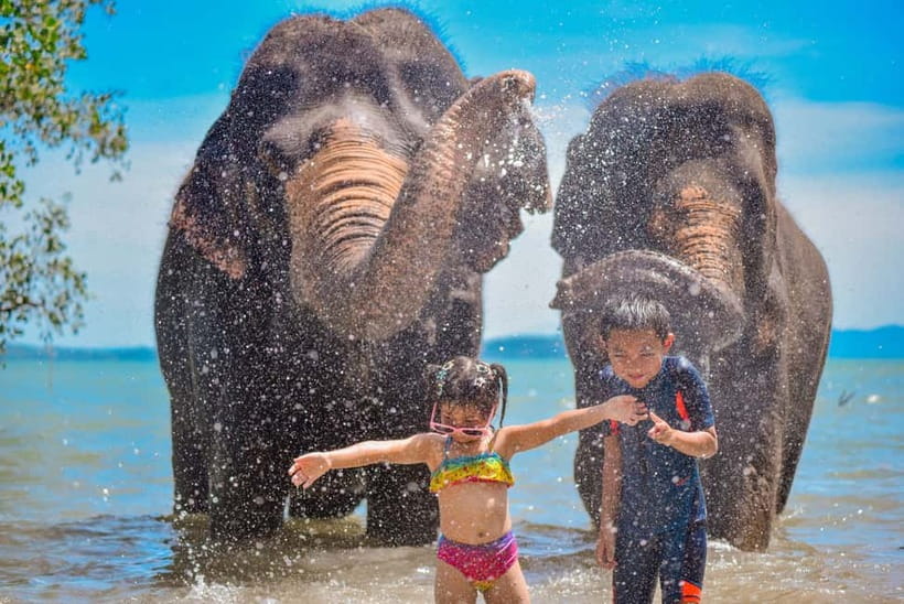 Phuket:Beach walk with elephants, rain & care. 2.5 hours - Why this elephant experience feels different