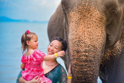 Phuket:Beach walk with elephants, rain & care. 2.5 hours