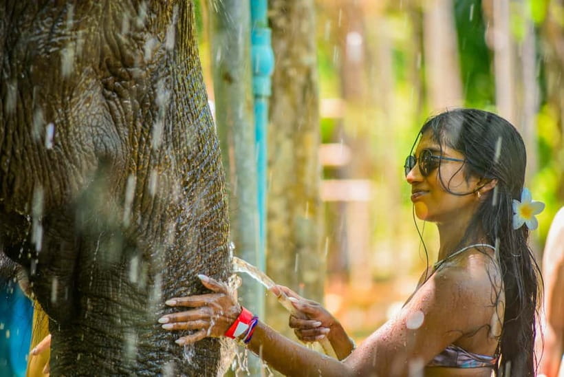 Phuket:Beach walk with elephants, rain & care. 2.5 hours - Making vitamin balls by hand