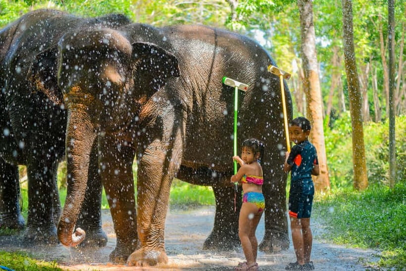 Phuket:Beach walk with elephants, rain & care. 2.5 hours - Bathing and brushing beside the sea