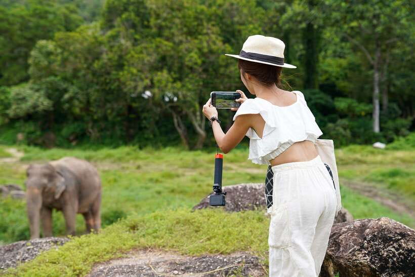 Phuket: Bukit Elephant Park Sanctuary Walk and Feed Tour - Final verdict: book it for respectful contact