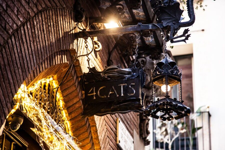 Picasso Museum and Walking Tour Plus Wine Tasting Upgrade - Carrer d’Avinyò 44 and a provocative title