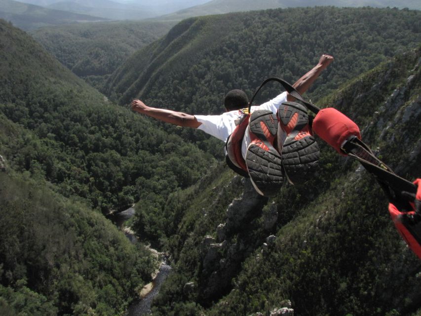 Plettenberg Bay: Bungee Jumping with Zipline and Sky Walk - Arriving at Bloukrans Bridge one hour early