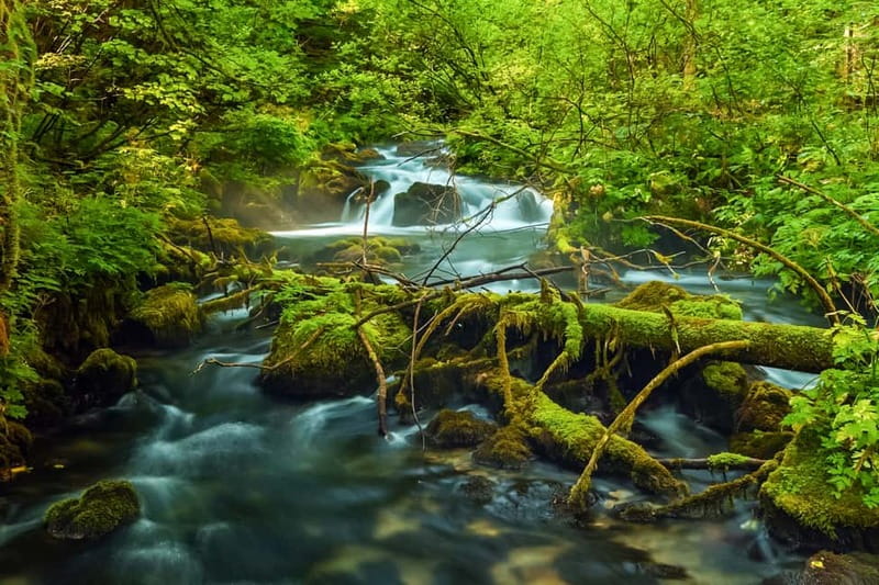 Plitvice Lakes: Guided Walking Tour with Bus and Boat Ride - Key points to know before booking