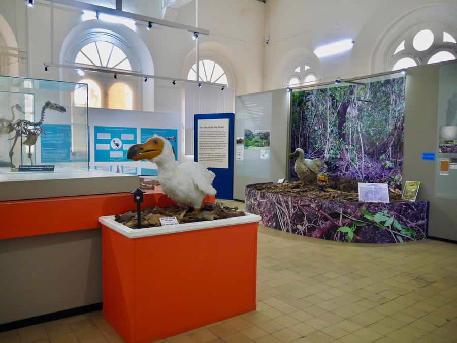 Port Louis: Street Eats and City Highlights Walking Tour - Central Market closes the loop