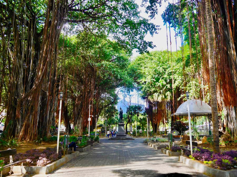 Port Louis: Street Eats and City Highlights Walking Tour - Chinatown brings the first tastes
