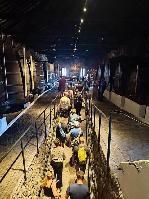 Porto: Port and Douro Wine Walking Tour with 9 Tastings - The three stops, and what each adds