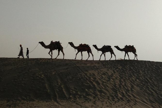 Private Heritage Walking Tour in Jaisalmer Fort and Old Bazaar - Starting at Gopa Chowk and entering Jaisalmer Fort