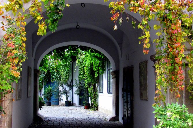 Private Hidden Vienna Walk — Stories Behind Quiet Corners - Reading the Jesuit Church from the inside out
