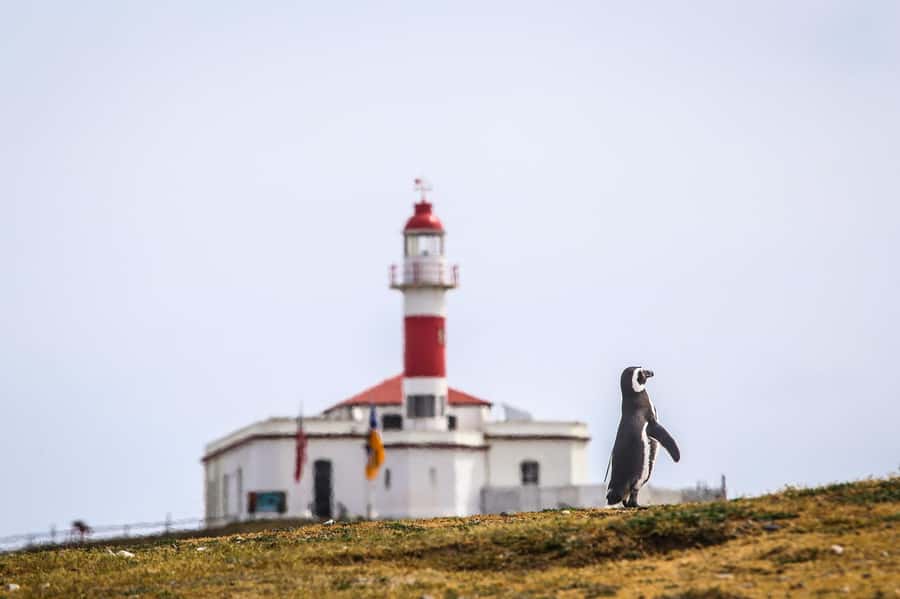 Punta Arenas: Magdalena Island Navigation & Penguin Walk - The boat crossing to Magdalena Island
