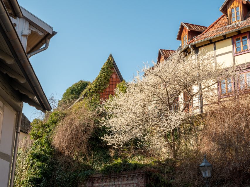 Quedlinburg: Guided City Highlights Walking Tour - Town hall, churches, and the city’s public story