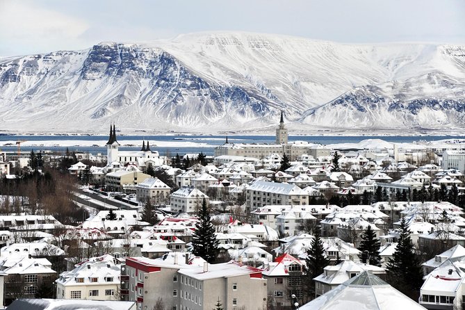Reykjavik City Walking Tour - Tjörnin pond and the gentler side of the city