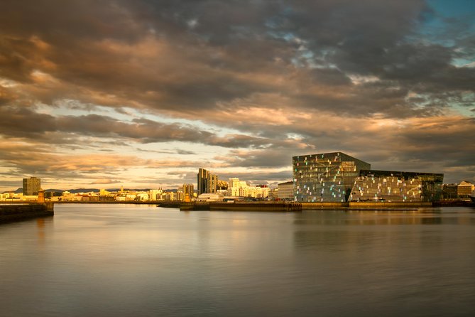 Reykjavik City Walking Tour - What the guide adds to the experience