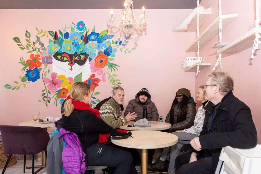 Reykjavik: Feline-Focused City Walking Tour - Who should book this cat tour