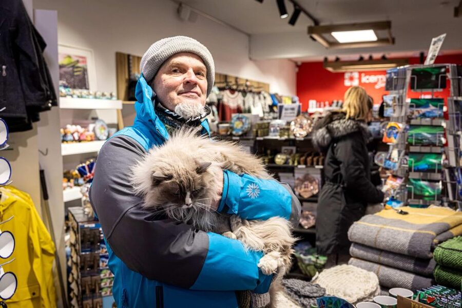 Reykjavik: Feline-Focused City Walking Tour - Why this unusual Reykjavík walk works