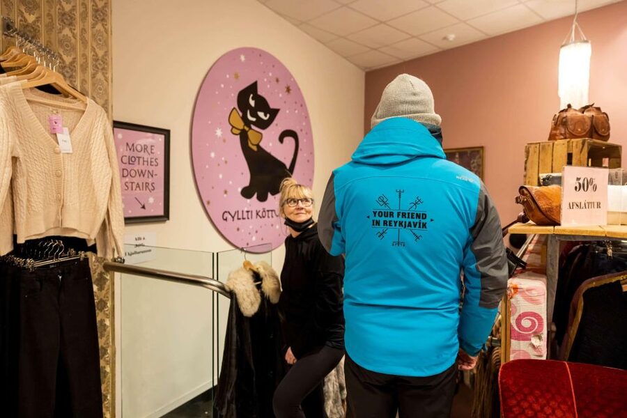 Reykjavik: Feline-Focused City Walking Tour - Lake Tjörnin adds a calm city break
