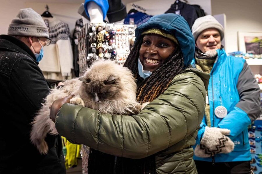 Reykjavik: Feline-Focused City Walking Tour - Meeting at Ingólfstorg
