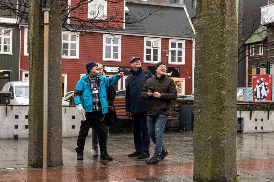 Reykjavik: Sightseeing Walking Tour with a Viking - The guide makes or breaks this experience