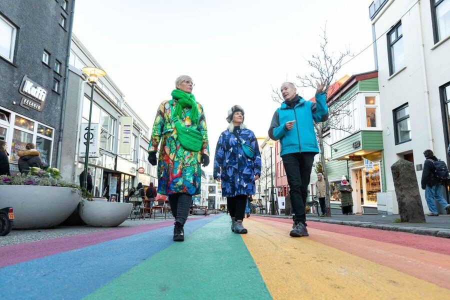 Reykjavik: Sightseeing Walking Tour with a Viking - Starting at Ingólfstorg with practical local help