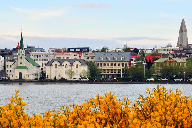 Reykjavik Walking Tour - Walk with a Viking - The Old Harbour and Harpa’s changing light