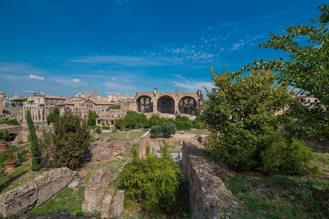 Rome: Colosseum Arena, Roman Forum & Palatine Hill Tour - Timing, crowds, and the risk of a longer visit