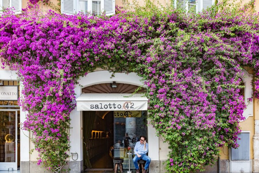 Rome: Fountains and Squares Small-Group Walking Tour - Why this Rome walk works well