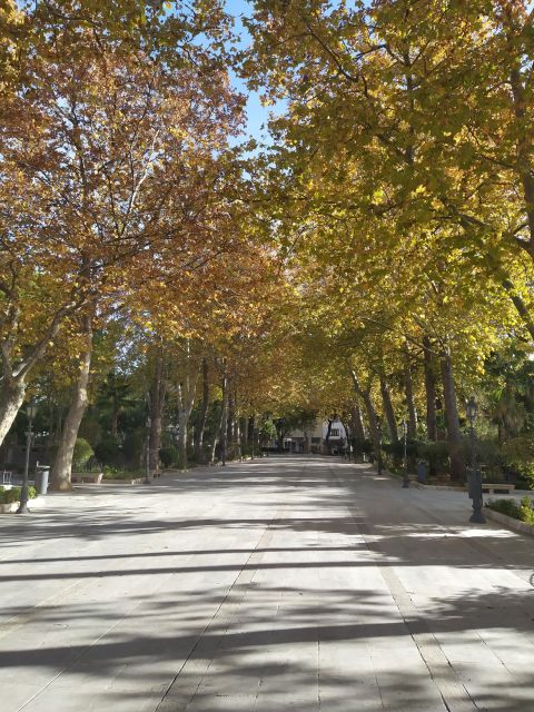 Ronda: 2-Hour Private Walking Tour - The Hemingway connection and Ronda’s bullring