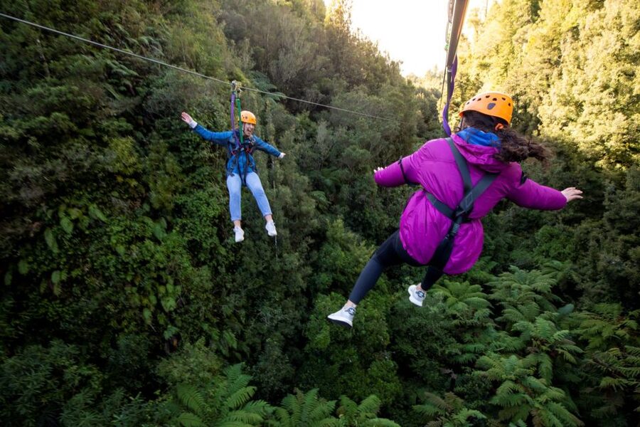 Rotorua: 6 Ziplines, 400m Tandem, Cliff Walk & Swing Bridges - Getting into the ancient forest