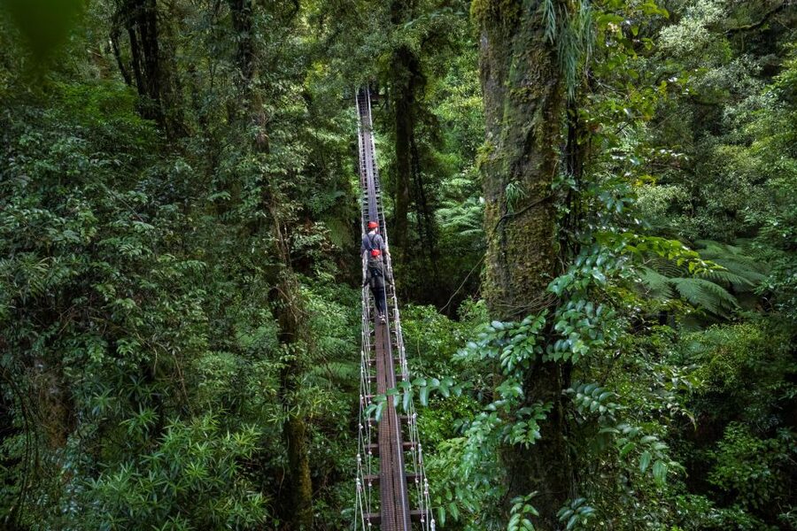 Rotorua: 6 Ziplines, 400m Tandem, Cliff Walk & Swing Bridges - Six ziplines, with the 400m ride as the finale