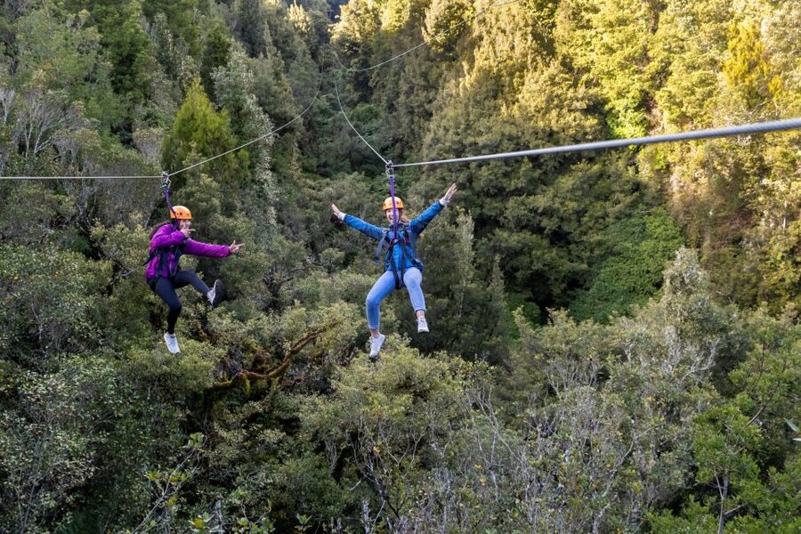Rotorua: 6 Ziplines, 400m Tandem, Cliff Walk & Swing Bridges - Swing bridges and the floating staircase