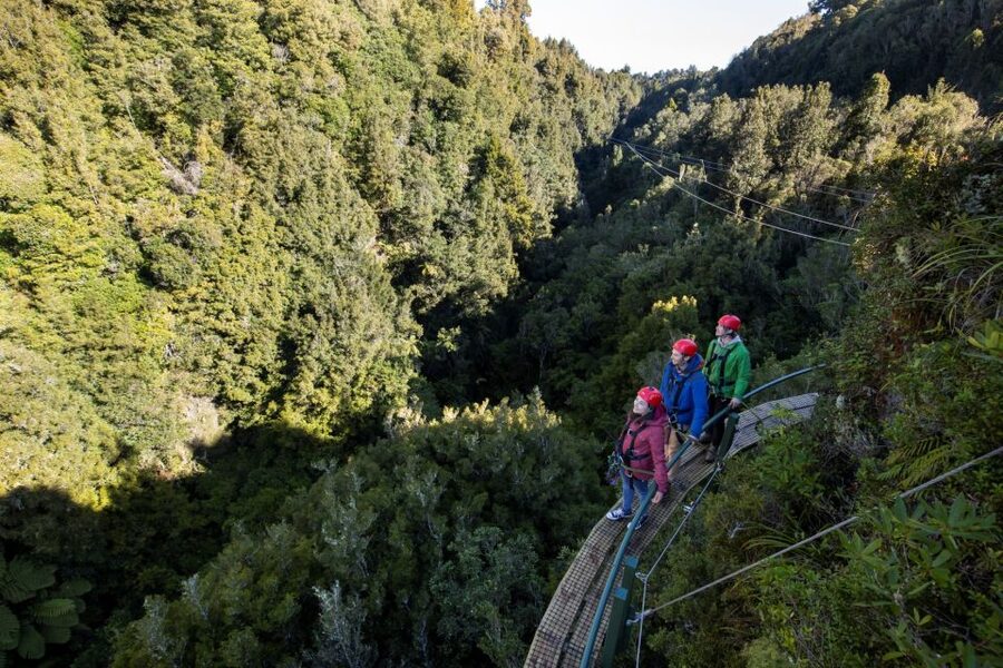 Rotorua: 6 Ziplines, 400m Tandem, Cliff Walk & Swing Bridges - The controlled descent from the treetops