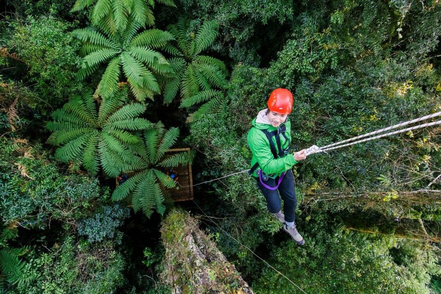 Rotorua: 6 Ziplines, 400m Tandem, Cliff Walk & Swing Bridges - Safety, weather, and physical demands
