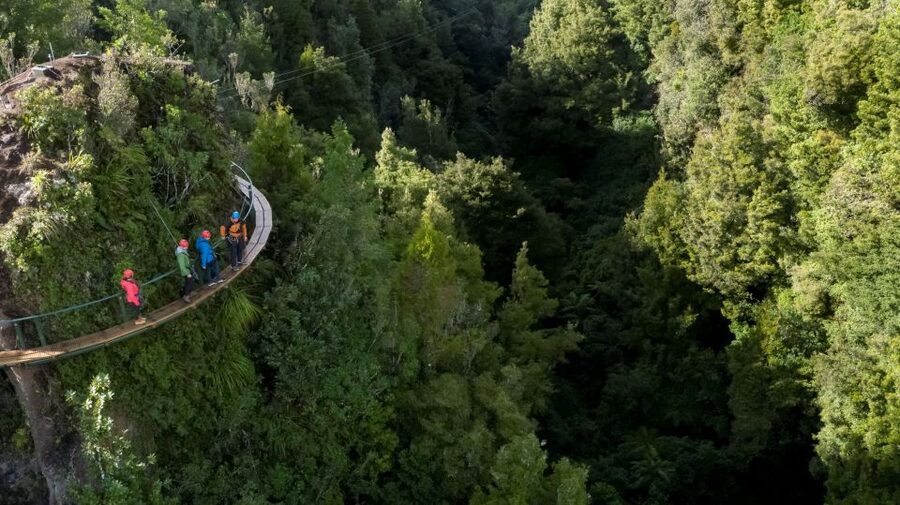 Rotorua: 6 Ziplines, 400m Tandem, Cliff Walk & Swing Bridges - Arriving at Fairy Springs Road