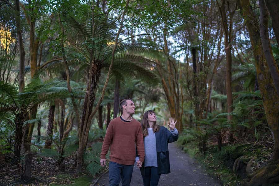 Rotorua: Hell's Gate Outdoor Mud Spa & Guided Walk - Māori carving adds more than a quick activity