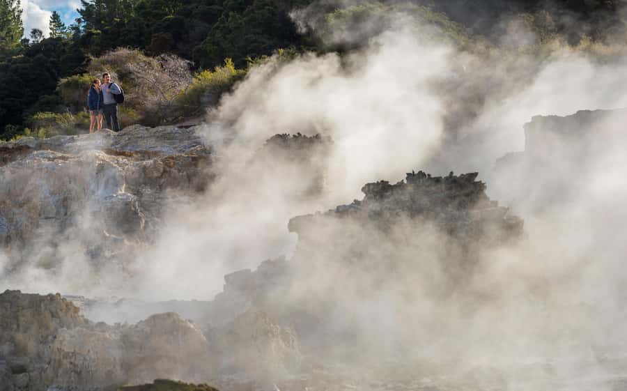 Rotorua: Hell's Gate Outdoor Mud Spa & Guided Walk - The mud bath: 20 minutes of warm, messy fun