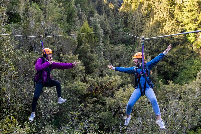 Rotorua’s Ultimate Zipline: 6 ziplines, 400 m Tandem, Cliff Walk - Six ziplines through an ancient forest