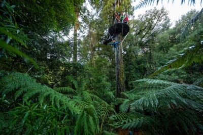 Rotorua’s Ultimate Zipline: 6 ziplines, 400 m Tandem, Cliff Walk