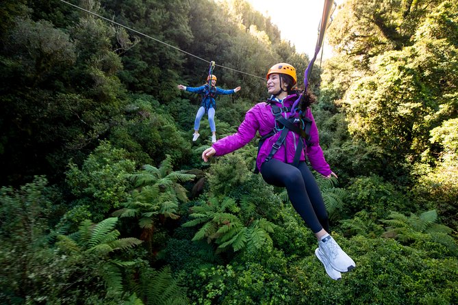 Rotorua’s Ultimate Zipline: 6 ziplines, 400 m Tandem, Cliff Walk - The controlled descent and the final sense of achievement