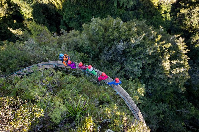Rotorua’s Ultimate Zipline: 6 ziplines, 400 m Tandem, Cliff Walk - Who will enjoy the Ultimate course most
