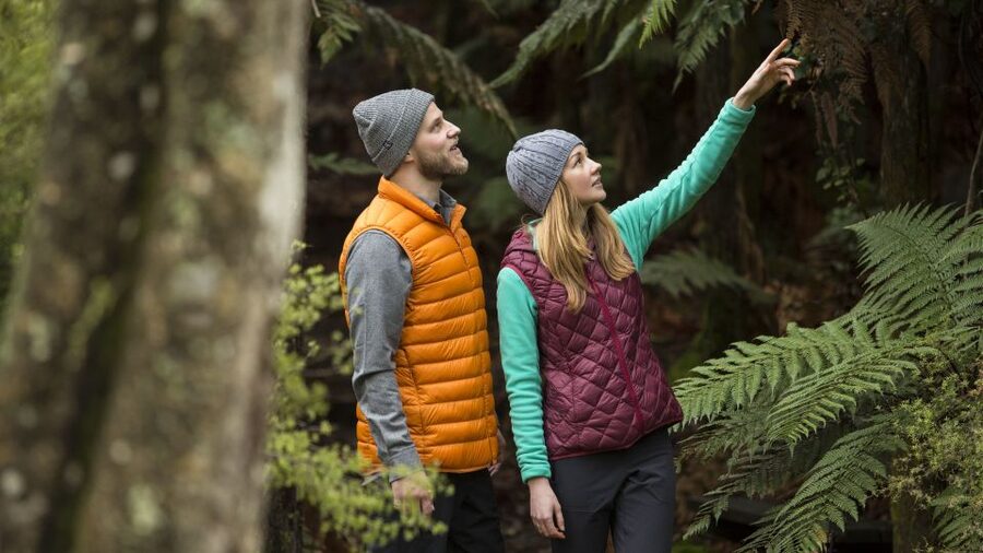 Rotorua: Waimangu Volcanic Valley Ticket & Self-Guided Walk - Who should book this experience?