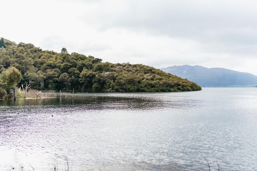 Rotorua: Waimangu Volcanic Valley Ticket & Self-Guided Walk - Why Waimangu feels different from Rotorua’s other geothermal stops