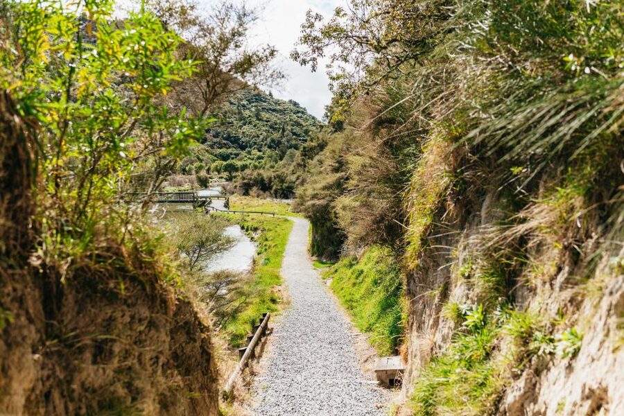 Rotorua: Waimangu Volcanic Valley Ticket & Self-Guided Walk - Choosing your walk through the geothermal valley