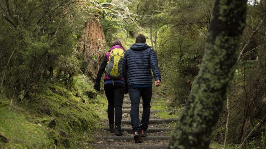 Rotorua: Waimangu Volcanic Valley Ticket & Self-Guided Walk - The Mount Haszard Trail is for stronger walkers
