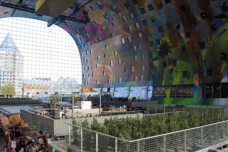 Rotterdam: City Center Walking Tour - Why this walking tour works for a first day